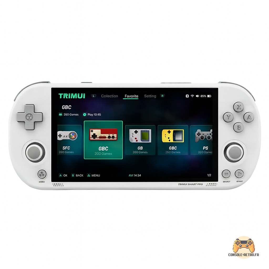 Consoles de jeux portables TRIMUI Smart Pro