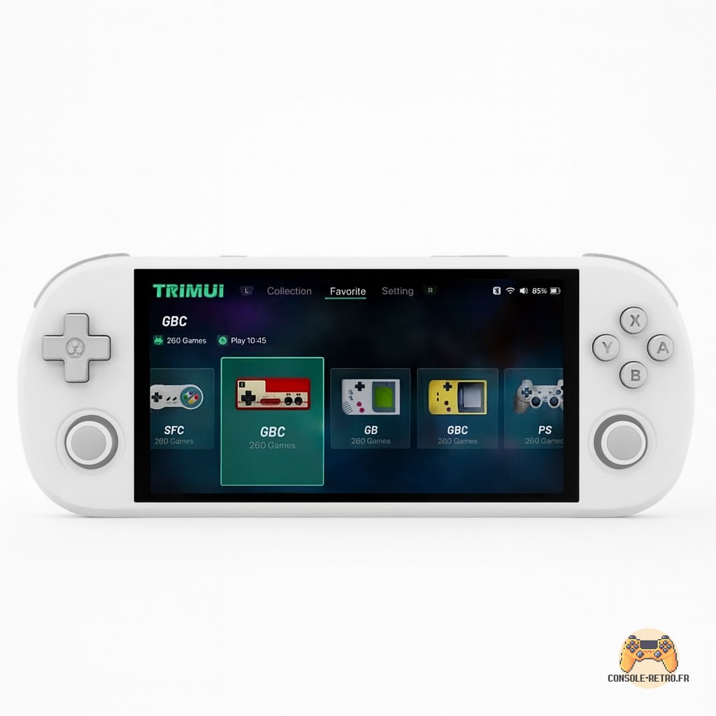 Consoles de jeux portables TRIMUI Smart Pro